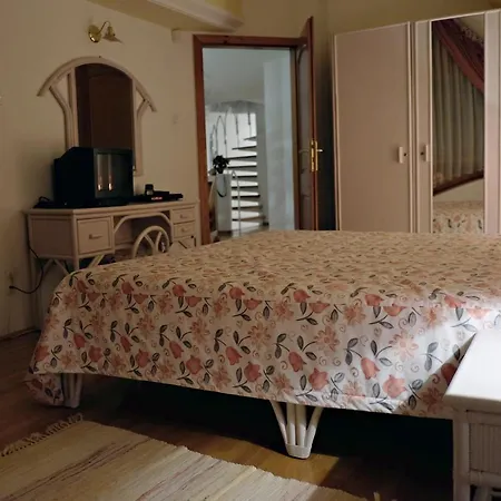 Luxusvilla Balatonszarszo Vakantiehuis